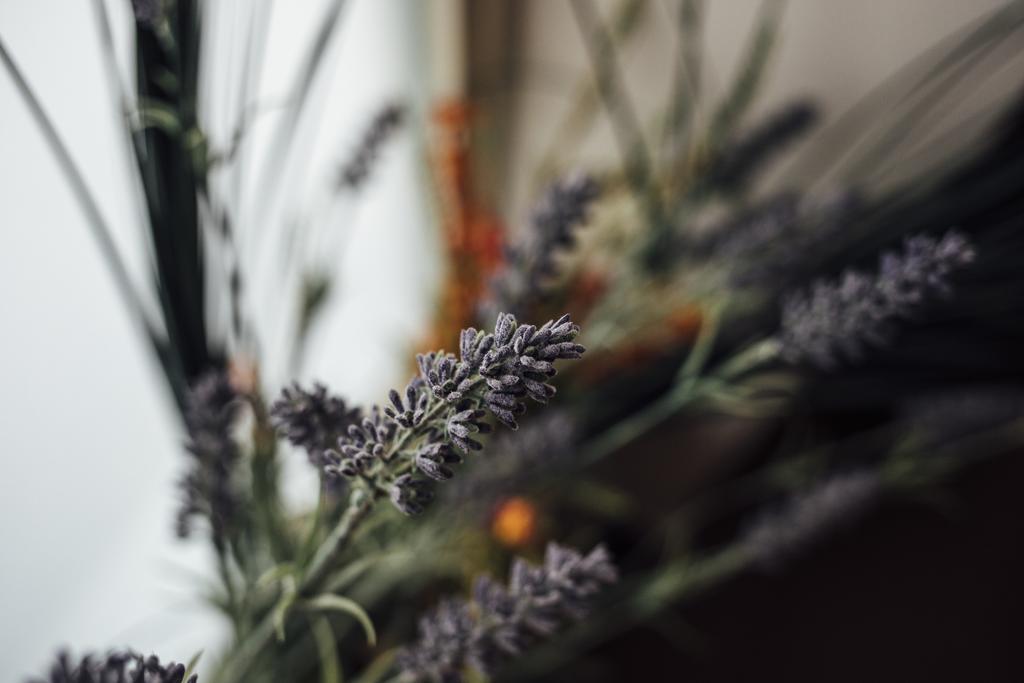 Gran Cancelliere Bed & Breakfast Palermo
